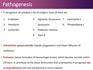 Pathogenesis
• P. aeruginosa can produce a lot of antigens some of them are
• extracellular polysaccharide impede phagocytosis and impair diffusion of
antibiotics.
• Proteases induce formation of hemorrhagic lesions, which become necrotic within
24 hours. It contribute to the tissue destruction that accompanies P aeruginosa eye
or lung infections and may aid bacteria in tissue invasion
1. Endotoxin
2. Hemolysin
3. Leukocidin
4. Pigments: fluorescein,
pycocyanin
5. Proteases: elastase
6. Toxin A
7. Exoenzyme S
8. Phospholipase c
 