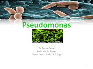 Pseudomonas
Dr. Roma Goyal
Assistant Professor
Department of MIcrobiology
1
 