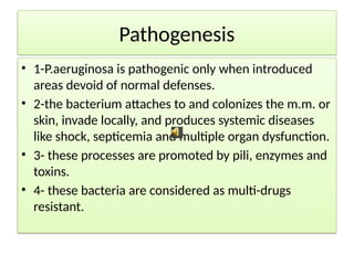 Pathogenesis
• 1-P.aeruginosa is pathogenic only when introduced
areas devoid of normal defenses.
• 2-the bacterium attaches to and colonizes the m.m. or
skin, invade locally, and produces systemic diseases
like shock, septicemia and multiple organ dysfunction.
• 3- these processes are promoted by pili, enzymes and
toxins.
• 4- these bacteria are considered as multi-drugs
resistant.
 