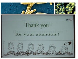 pseudomonas 2015.pptx12345678909trty7uio987