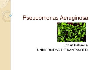 Pseudomonas Aeruginosa



                 Johan Pabuena
    UNIVERSIDAD DE SANTANDER
 