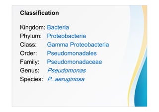 Classification
Kingdom: Bacteria
Phylum: Proteobacteria
Class: Gamma Proteobacteria
Order: Pseudomonadales
Family: Pseudomonadaceae
Genus: Pseudomonas
Species: P. aeruginosa
 