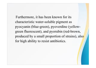 Furthermore, it has been known for its
characteristic water-soluble pigment as
pyocyanin (blue-green), pyoverdine (yellow-
green fluorescent), and pyorubin (red-brown,
produced by a small proportion of strains), also
for high ability to resist antibiotics.
 