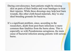 During convalescence, burn patients might be missing
skin on parts of their bodies and wear bandages to treat
their injuries. While these dressings may help heal burn
wounds, like other cloth-based materials, they’re also
ideal breeding grounds for bacteria.
It’s a significant problem, since, according to the
researchers, death from post-burn infections is more
common than fatalities from the burns alone. This is
especially so with Pseudomonas aeruginosa, the main
cause of bacterial infection among patients with serious
burns.
 