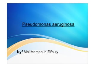 Pseudomonas aeruginosa
by/ Mai Mamdouh Elfouly
 