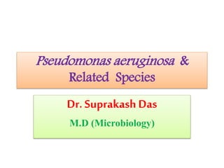 Pseudomonas aeruginosa &
Related Species
Dr. Suprakash Das
M.D (Microbiology)
 