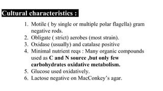 Cultural characteristics :
1. Motile ( by single or multiple polar flagella) gram
negative rods.
2. Obligate ( strict) aerobes (most strain).
3. Oxidase (usually) and catalase positive
4. Minimal nutrient reqs : Many organic compounds
used as C and N source ,but only few
carbohydrates oxidative metabolism.
5. Glucose used oxidatively.
6. Lactose negative on MacConkey’s agar.
 