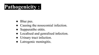 Pathogenicity :
● Blue pus.
● Causing the nosocomial infection.
● Suppuratibe otitis.
● Localised and genralised infection.
● Urinary tract infection.
● Latrogenic meningitis.
 