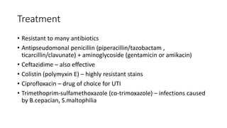 Treatment
• Resistant to many antibiotics
• Antipseudomonal penicillin (piperacillin/tazobactam ,
ticarcillin/clavunate) + aminoglycoside (gentamicin or amikacin)
• Ceftazidime – also effective
• Colistin (polymyxin E) – highly resistant stains
• Ciprofloxacin – drug of choice for UTI
• Trimethoprim-sulfamethoxazole (co-trimoxazole) – infections caused
by B.cepacian, S.maltophilia
 