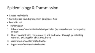 Epidemiology & Transmission
• Causes meliodosis
• Rare disease found primarily in Southeast Asia
• Found in soil
• Transmission
1. Inhalation of contaminated dust particles (increased cases during rainy
season)
2. Direct contact with contaminated soil and water through penetrating
wounds, existing skin abrasions, burns
3. Aspiration of contaminated water
4. Ingestion of contaminated water
 