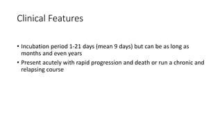 Clinical Features
• Incubation period 1-21 days (mean 9 days) but can be as long as
months and even years
• Present acutely with rapid progression and death or run a chronic and
relapsing course
 