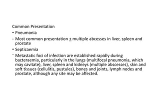 Common Presentation
• Pneumonia
- Most common presentation + multiple abcesses in liver, spleen and
prostate
• Septicaemia
⁻ Metastatic foci of infection are established rapidly during
bacteraemia, particularly in the lungs (multifocal pneumonia, which
may cavitate), liver, spleen and kidneys (multiple abscesses), skin and
soft tissues (cellulitis, pustules), bones and joints, lymph nodes and
prostate, although any site may be affected.
 