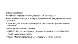 Other presentations
• Soft tissue infection: cellulitis, fasciitis, skin abscess/ulcer
• Intra abdominal: single or multiple abscesses in the liver, spleen, kidney or
pancreas
• Bone and joint infection: osteomyelitis, septic arthritis (musculoskeletal
meliodosis)
• Genitourinary: prostatic abscess
• CNS infection: cerebral abscess, meningoencephalitis, encephalomyelitis
• Facial: suppurative parotitis
• Ocular infection: conjunctival ulcer, hypopyon, orbital cellulitis
 