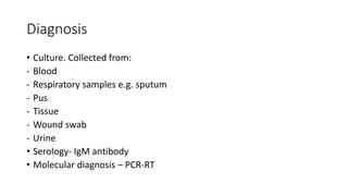 Diagnosis
• Culture. Collected from:
- Blood
- Respiratory samples e.g. sputum
- Pus
- Tissue
- Wound swab
- Urine
• Serology- IgM antibody
• Molecular diagnosis – PCR-RT
 