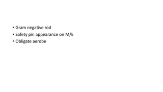 • Gram negative rod
• Safety pin appearance on M/E
• Obligate aerobe
 