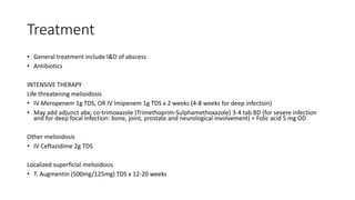 Treatment
• General treatment include I&D of abscess
• Antibiotics
INTENSIVE THERAPY
Life threatening melioidosis
• IV Meropenem 1g TDS, OR IV Imipenem 1g TDS x 2 weeks (4-8 weeks for deep infection)
• May add adjunct abx; co-trimoxazole (Trimethoprim-Sulphamethoxazole) 3-4 tab BD (for severe infection
and for deep focal infection: bone, joint, prostate and neurological involvement) + Folic acid 5 mg OD
Other melioidosis
• IV Ceftazidime 2g TDS
Localized superficial melioidosis
• T. Augmentin (500mg/125mg) TDS x 12-20 weeks
 