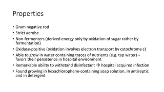 Properties
• Gram negative rod
• Strict aerobe
• Non-fermenters (derived energy only by oxidation of sugar rather by
fermentation)
• Oxidase-positive (oxidation involves electron transport by cytochrome c)
• Able to grow in water containing traces of nutrients (e.g. tap water) –
favors their persistence in hospital environment
• Remarkable ability to withstand disinfectant  hospital acquired infection
• Found growing in hexachlorophene-containing soap solution, in antiseptic
and in detergent
 