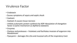 Virulence Factor
• Endotoxin
- Causes symptoms of sepsis and septic shock
• Exotoxin
- Exotoxin A causes tissue necrosis
- Inhibits eukaryotic protein synthesis by ADP ribosylation of elongation
factor-2 (same mechanism as diphteria exotoxin)
• Enzymes
- Elastase and proteases – histotoxic and facilitates invasion of organism into
bloodstream
- Pyocyanin – damages the cilia and mucosal cells of the respiratory tract
 