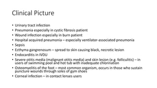Clinical Picture
• Urinary tract infection
• Pneumonia especially in cystic fibrosis patient
• Wound infection especially in burn patient
• Hospital acquired pneumonia – especially ventilator-associated pneumonia
• Sepsis
• Ecthyma gangrenosum – spread to skin causing black, necrotic lesion
• Endocarditis in IVDU
• Severe otitis media (malignant otitis media) and skin lesion (e.g. folliculitis) – in
users of swimming pool and hot tub with inadequate chlorination
• Osteomyelitis of the foot – most common organism, occurs in those who sustain
puncture wounds through soles of gym shoes
• Corneal infection – in contact lenses users
 