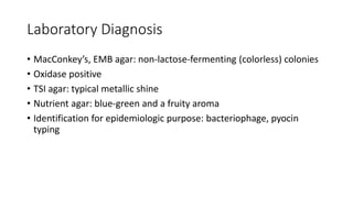Laboratory Diagnosis
• MacConkey’s, EMB agar: non-lactose-fermenting (colorless) colonies
• Oxidase positive
• TSI agar: typical metallic shine
• Nutrient agar: blue-green and a fruity aroma
• Identification for epidemiologic purpose: bacteriophage, pyocin
typing
 