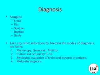 Diagnosis
• Samples:
– Urine
– Pus
– Sputum
– Implant
– Swab
• Like any other infections by bacteria the modes of diagnosis
are same:
1. Microscopy: Gram stain, Motility.
2. Culture and Sensitivity (C/S).
3. Serological evaluation of toxins and enzymes or antigens.
4. Molecular diagnosis.
 