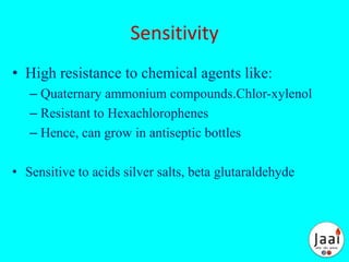 Sensitivity
• High resistance to chemical agents like:
– Quaternary ammonium compounds.Chlor-xylenol
– Resistant to Hexachlorophenes
– Hence, can grow in antiseptic bottles
• Sensitive to acids silver salts, beta glutaraldehyde
 