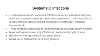 Systematic infections
● P. aeruginosa related nosocomial infections occurs in patients undergoing
machanical ventilator(ventilator associated pneumonia), on intravascular or
urinary catheter(catheter related infections) chemotherapy, antibiotic
treatments etc.
● These infections occurs due to initial colonisation and subsequent infection.
● Major pathogen causing lung infections in patients with cystic fibrosis.
● Bacteremia leading to sepsis and septic shock.
● Native valve endocarditis in I/V drug abusers
 