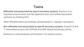 Toxins
Diffusible toxins(secreted by type-II secretory system): Exotoxin A an
important enzyme which acts like diphtheria toxin and inhibits host protein
synthesis by inhibiting EF2.
Other diffusible toxins are protease, phospholipase C, elastase, hemolysins.
Non diffusible toxins(secreted by type-III secretory system): Exotoxin S and
T- bifunctiobal enzyme with GTPase and ADP-ribosyl transferase activity.
Exotoxin-U a phospholipase and Exotoxin Y an adenyl cyclase
 