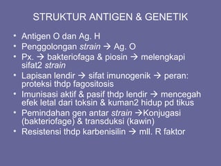 STRUKTUR ANTIGEN & GENETIK
• Antigen O dan Ag. H
• Penggolongan strain  Ag. O
• Px.  bakteriofaga & piosin  melengkapi
sifat2 strain
• Lapisan lendir  sifat imunogenik  peran:
proteksi thdp fagositosis
• Imunisasi aktif & pasif thdp lendir  mencegah
efek letal dari toksin & kuman2 hidup pd tikus
• Pemindahan gen antar strain Konjugasi
(bakteriofage) & transduksi (kawin)
• Resistensi thdp karbenisilin  mll. R faktor
 