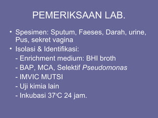 PEMERIKSAAN LAB.
• Spesimen: Sputum, Faeses, Darah, urine,
Pus, sekret vagina
• Isolasi & Identifikasi:
- Enrichment medium: BHI broth
- BAP, MCA, Selektif Pseudomonas
- IMVIC MUTSI
- Uji kimia lain
- Inkubasi 37o
C 24 jam.
 
