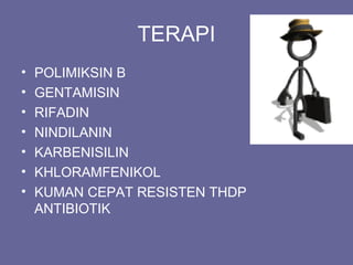 TERAPI
• POLIMIKSIN B
• GENTAMISIN
• RIFADIN
• NINDILANIN
• KARBENISILIN
• KHLORAMFENIKOL
• KUMAN CEPAT RESISTEN THDP
ANTIBIOTIK
 