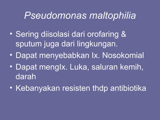 Pseudomonas maltophilia
• Sering diisolasi dari orofaring &
sputum juga dari lingkungan.
• Dapat menyebabkan Ix. Nosokomial
• Dapat mengIx. Luka, saluran kemih,
darah
• Kebanyakan resisten thdp antibiotika
 