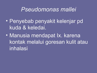 Pseudomonas mallei
• Penyebab penyakit kelenjar pd
kuda & keledai.
• Manusia mendapat Ix. karena
kontak melalui goresan kulit atau
inhalasi
 