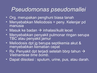 Pseudomonas pseudomallei
• Org. merupakan penghuni biasa tanah
• Menyebabkan Meliodosis = peny. Kelenjar pd
manusia
• Masuk ke badan  inhalasi/kulit lecet
• Menyebabkan penyakit pulmonar ringan serupa
TBC atau penyakit jamur
• Meliodosis dpt jg berupa septikemia akut &
menyebabkan kematian cepat
• Rx. Penyakit dpt terjadi setelah bbrp tahun 
Vietnamese time bomb.
• Dapat diisolasi : sputum, urine, pus, atau darah.
 