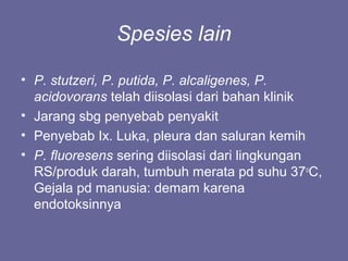 Spesies lain
• P. stutzeri, P. putida, P. alcaligenes, P.
acidovorans telah diisolasi dari bahan klinik
• Jarang sbg penyebab penyakit
• Penyebab Ix. Luka, pleura dan saluran kemih
• P. fluoresens sering diisolasi dari lingkungan
RS/produk darah, tumbuh merata pd suhu 37o
C,
Gejala pd manusia: demam karena
endotoksinnya
 
