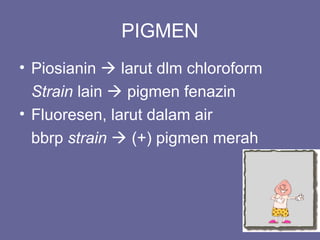 PIGMEN
• Piosianin  larut dlm chloroform
Strain lain  pigmen fenazin
• Fluoresen, larut dalam air
bbrp strain  (+) pigmen merah
 