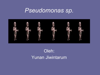 Pseudomonas sp.
Oleh:
Yunan Jiwintarum
 