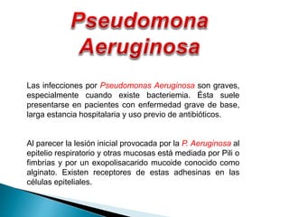 Las infecciones por Pseudomonas Aeruginosa son graves,
especialmente cuando existe bacteriemia. Ésta suele
presentarse en pacientes con enfermedad grave de base,
larga estancia hospitalaria y uso previo de antibióticos.
Al parecer la lesión inicial provocada por la P. Aeruginosa al
epitelio respiratorio y otras mucosas está mediada por Pili o
fimbrias y por un exopolisacarido mucoide conocido como
alginato. Existen receptores de estas adhesinas en las
células epiteliales.
 