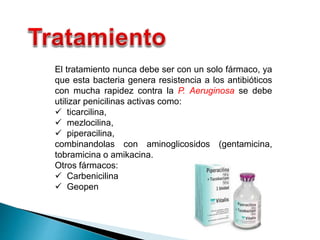 El tratamiento nunca debe ser con un solo fármaco, ya
que esta bacteria genera resistencia a los antibióticos
con mucha rapidez contra la P. Aeruginosa se debe
utilizar penicilinas activas como:
 ticarcilina,
 mezlocilina,
 piperacilina,
combinandolas con aminoglicosidos (gentamicina,
tobramicina o amikacina.
Otros fármacos:
 Carbenicilina
 Geopen
 