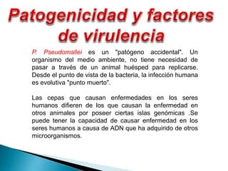 P. Pseudomallei es un "patógeno accidental". Un
organismo del medio ambiente, no tiene necesidad de
pasar a través de un animal huésped para replicarse.
Desde el punto de vista de la bacteria, la infección humana
es evolutiva "punto muerto".
Las cepas que causan enfermedades en los seres
humanos difieren de los que causan la enfermedad en
otros animales por poseer ciertas islas genómicas .Se
puede tener la capacidad de causar enfermedad en los
seres humanos a causa de ADN que ha adquirido de otros
microorganismos.
 