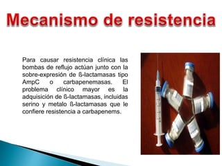 Para causar resistencia clínica las
bombas de reflujo actúan junto con la
sobre-expresión de ß-lactamasas tipo
AmpC o carbapenemasas. El
problema clínico mayor es la
adquisición de ß-lactamasas, incluidas
serino y metalo ß-lactamasas que le
confiere resistencia a carbapenems.
 