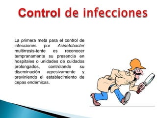 La primera meta para el control de
infecciones por Acinetobacter
multirresis-tente es reconocer
tempranamente su presencia en
hospitales o unidades de cuidados
prolongados, controlando su
diseminación agresivamente y
previniendo el establecimiento de
cepas endémicas.
 