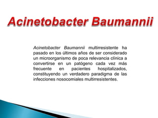Acinetobacter Baumannii multirresistente ha
pasado en los últimos años de ser considerado
un microorganismo de poca relevancia clínica a
convertirse en un patógeno cada vez más
frecuente en pacientes hospitalizados,
constituyendo un verdadero paradigma de las
infecciones nosocomiales multirresistentes.
 