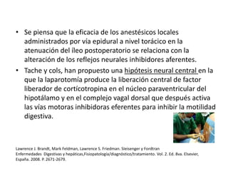 • Se piensa que la eficacia de los anestésicos locales
administrados por vía epidural a nivel torácico en la
atenuación del íleo postoperatorio se relaciona con la
alteración de los reflejos neurales inhibidores aferentes.
• Tache y cols, han propuesto una hipótesis neural central en la
que la laparotomía produce la liberación central de factor
liberador de cortícotropina en el núcleo paraventricular del
hipotálamo y en el complejo vagal dorsal que después activa
las vías motoras inhibidoras eferentes para inhibir la motilidad
digestiva.
Lawrence J. Brandt, Mark Feldman, Lawrence S. Friedman. SIeisenger y Fordtran
Enfermedades Digestivas y hepáticas,Fisiopatología/diagnóstico/tratamiento. Vol. 2. Ed. 8va. Elsevier,
España. 2008. P. 2671-2679.
 