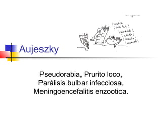 Aujeszky
Pseudorabia, Prurito loco,
Parálisis bulbar infecciosa,
Meningoencefalitis enzootica.

 