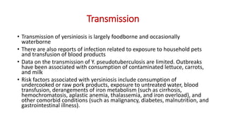 Transmission
• Transmission of yersiniosis is largely foodborne and occasionally
waterborne
• There are also reports of infection related to exposure to household pets
and transfusion of blood products
• Data on the transmission of Y. pseudotuberculosis are limited. Outbreaks
have been associated with consumption of contaminated lettuce, carrots,
and milk
• Risk factors associated with yersiniosis include consumption of
undercooked or raw pork products, exposure to untreated water, blood
transfusion, derangements of iron metabolism (such as cirrhosis,
hemochromatosis, aplastic anemia, thalassemia, and iron overload), and
other comorbid conditions (such as malignancy, diabetes, malnutrition, and
gastrointestinal illness).
 