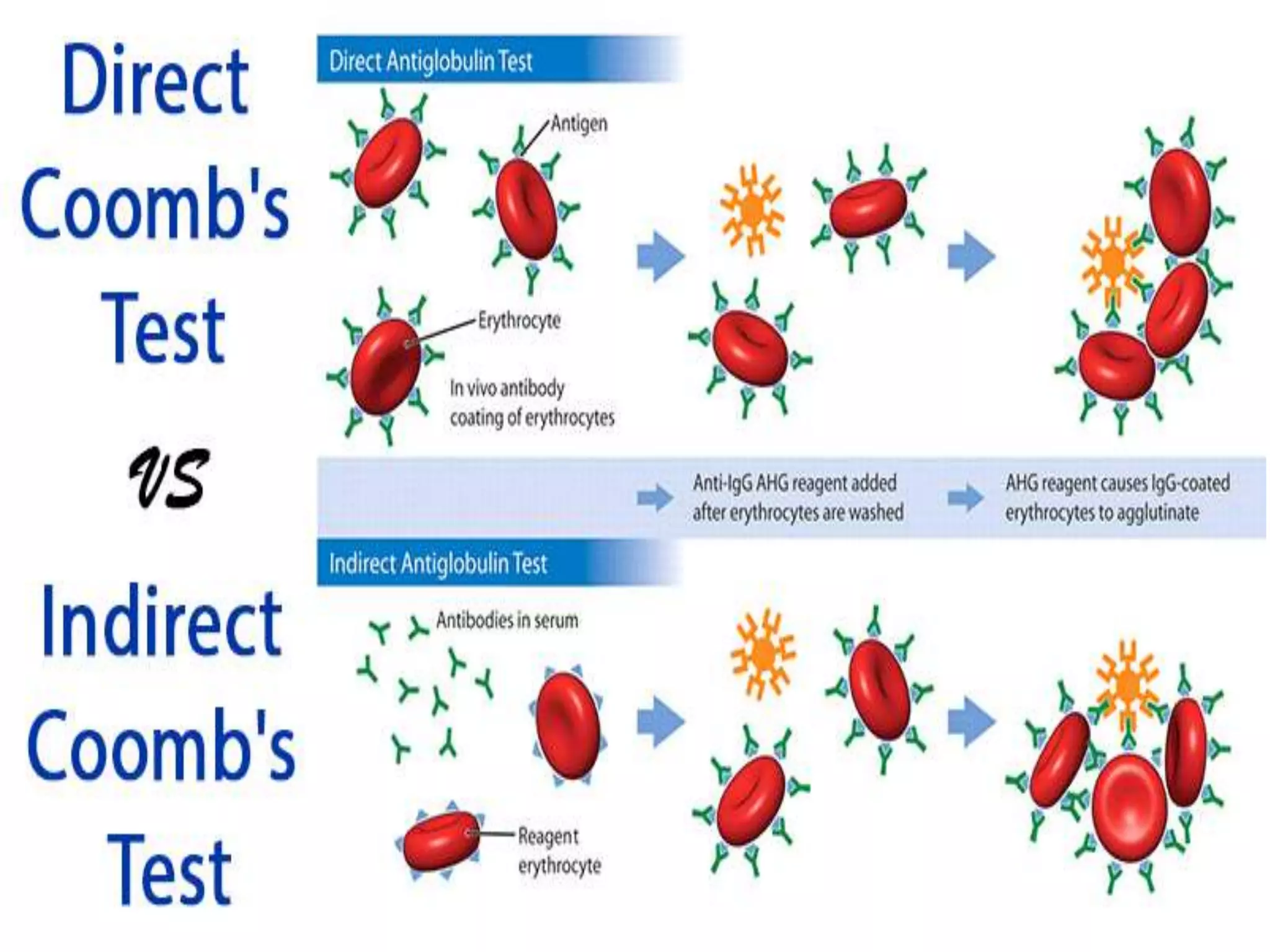 PS Findings In Hemolytic Anemia.pptx