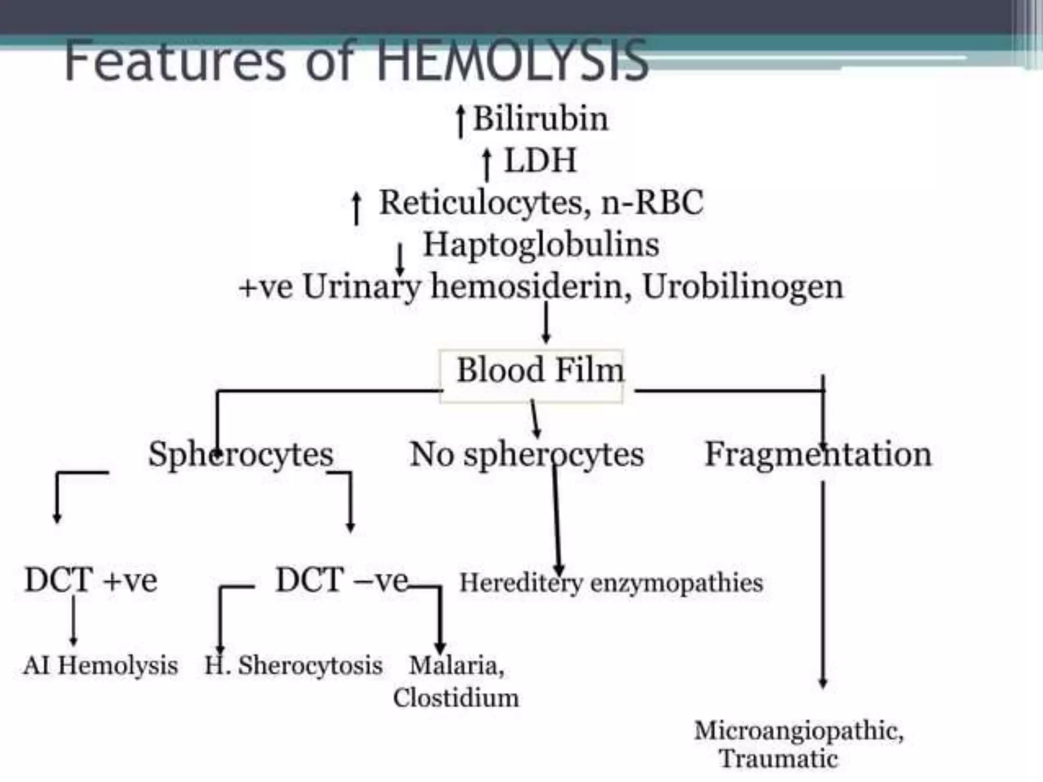 PS Findings In Hemolytic Anemia.pptx