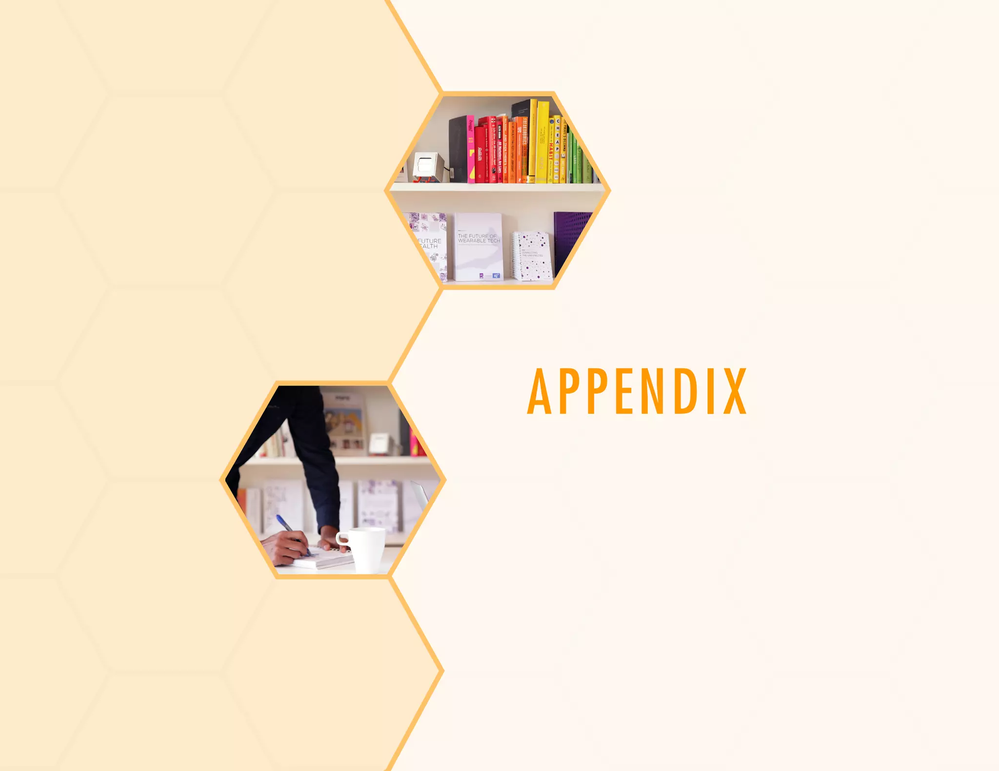 APPENDIX
 