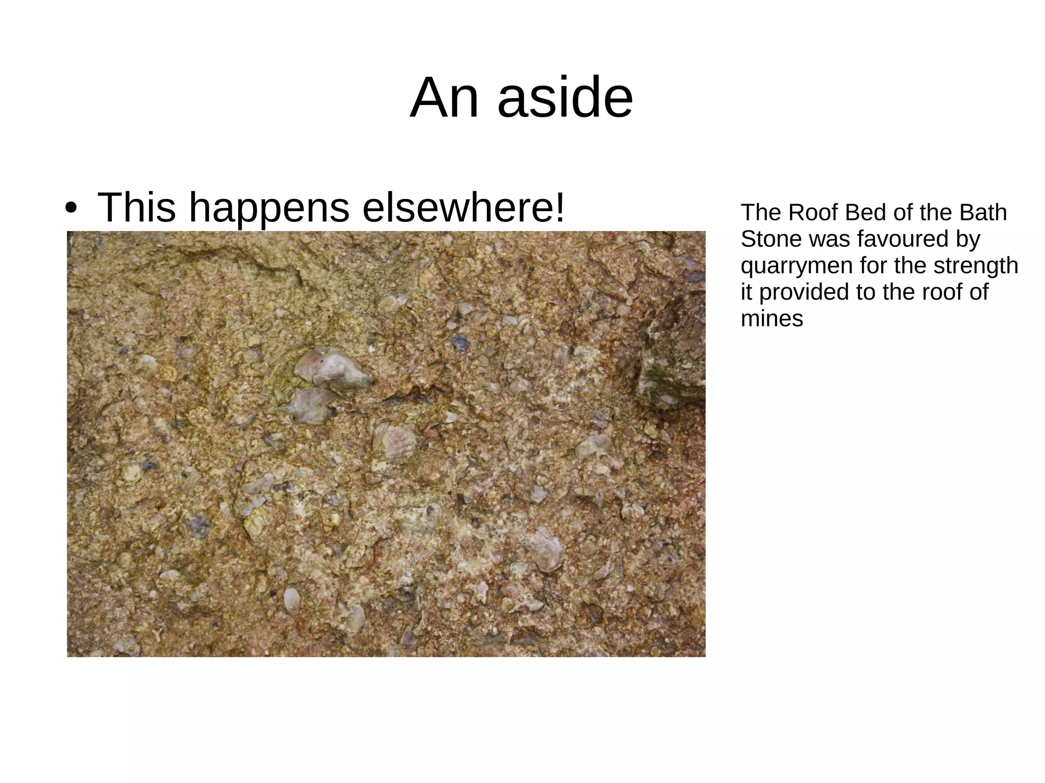 An aside
● This happens elsewhere! The Roof Bed of the Bath
Stone was favoured by
quarrymen for the strength
it provided to the roof of
mines
 